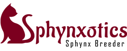 Sphynxotics